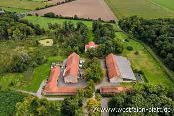 Grünes Licht für Gut Ringelsbruch-Pläne?