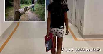 Liv (7) raakt zeer ernstig gewond als slagboom op haar gezicht valt: ‘Ik dacht dat ze het niet ging halen’