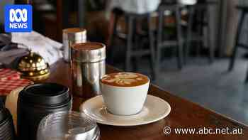 Better coffee on the cards as researchers crack arabica's genetic code