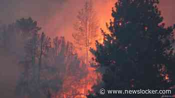 Bosbranden verspreiden zich razendsnel over Californië, dertien gewonden