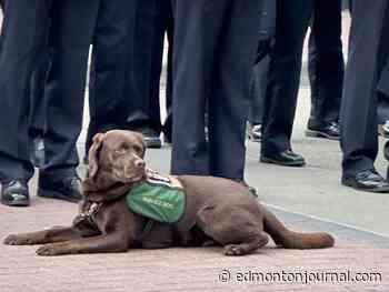 Heroes no longer with us: Fallen firefighters honoured at Edmonton ceremony
