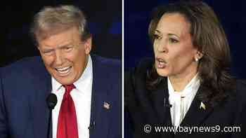 USF professor: Harris 'was baiting Donald Trump over and over again'