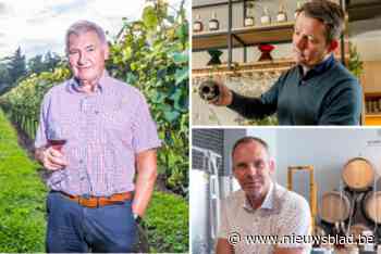 Zure tijden voor Antwerpse wijnbouwers: “Door het afschuwelijk natte weer wordt dit een jaar om snel te vergeten”