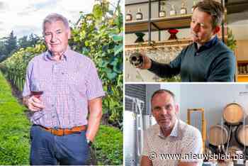 Zure tijden voor Antwerpse wijnbouwers: “Door het afschuwelijk natte weer wordt dit een jaar om snel te vergeten”