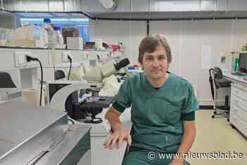 Nóg twee Limburgse doctoraten in PhD Cup: over narcose bij zwangerschap en fouten in webbrowsers