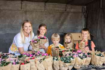 Jubileumeditie azaleaverkoop voor Kom Op Tegen Kanker: “Blij met alle vrijwilligers die zich engageren”