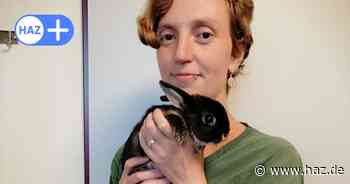 Wer kennt diese Tiere? So sucht das Tierheim Hannover nach Haltern von Hund, Katze und Co.