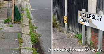 'Our streets are overgrown with weeds - something needs to be done'