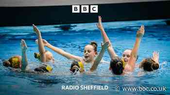 Who are the swans of South Yorkshire?