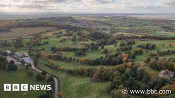 Almost two million trees planted in North in 2023