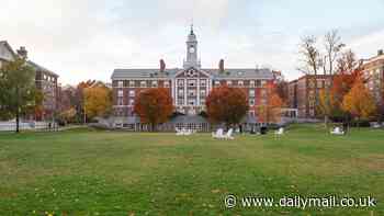 Revealed: How to solve Harvard University brainteaser that 90% of people fail