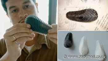 Bizarre device shaped like a pinecone wins the prestigious James Dyson award in the UK - but can you guess what it does?