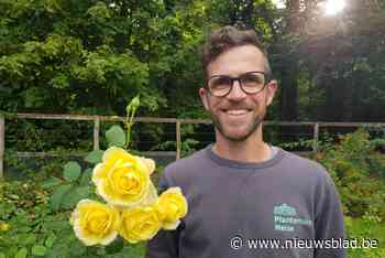 Plantentuin wordt keuringslocatie voor toprozen: “Met meer dan 100 soorten herbergt  onze Rozentuin één van de belangrijkste rozencollecties ter wereld”