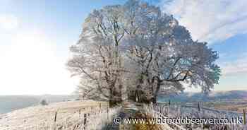 Met Office forecasts snow as temperatures in the UK set to plummet