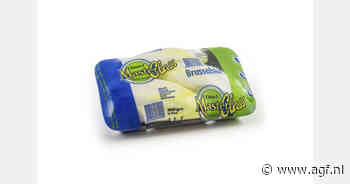 "Witlofaanbod zal voorlopig nog beperkt blijven"