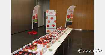 Focus op doordragers bij rassendag Coöperatie Hoogstraten