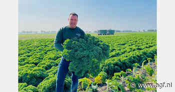 "Als de salarissen zijn gestort, kopen mensen duurdere groenten"