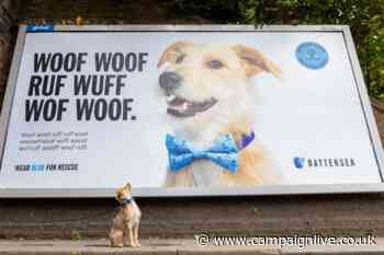 Battersea campaign lets cats and dogs do the talking