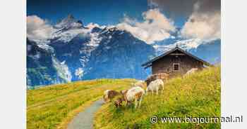Een zesde van de Zwitserse boerderijen produceert biologische producten