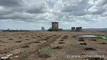 Via le bombe da Monte Cucco: dalla collina di Pasolini a un nuovo parco urbano