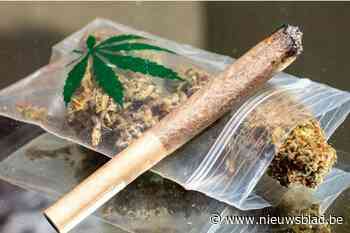 Uit de hand gelopen hobby en cannabis kosten Zonhovenaar voorwaardelijke straf