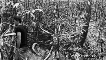 Respiro selvaggio, art action di Luca Padroni al Museo Carlo Bilotti