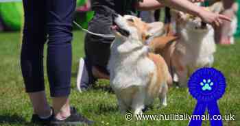 Pups in the Park: Brand-new charity dog show in East Yorkshire announced for this weekend