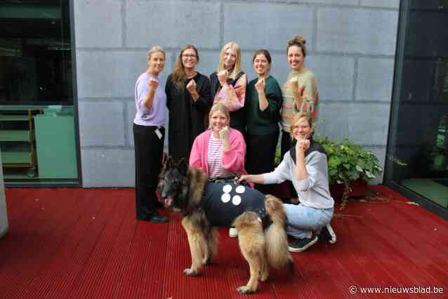 Keerbergen ‘stipt mee’ tegen pesten