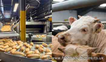 Cross party group calls food security to be heart of Labour’s industrial strategy