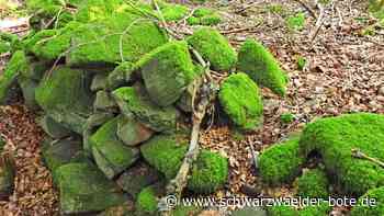 Im Bad Herrenalber Wald: Wer kann zum Steinkreis was sagen?