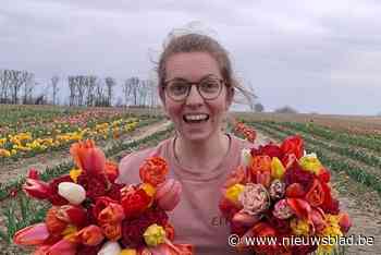 FleurBloem laat publiek kennismaken met zelfplukveld voor bloemen: “Bloemen zijn er echt voor alle gelegenheden”