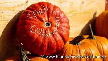 Kürbisfeste in der Region Braunschweig – das sind die Termine