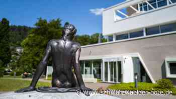 Zoff im Gemeinderat von  Bad Liebenzell: Stadtrat Fischer greift Bürgermeister Chiari an