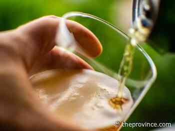 Wine Guy: Readers choice, award-winning B.C. beer