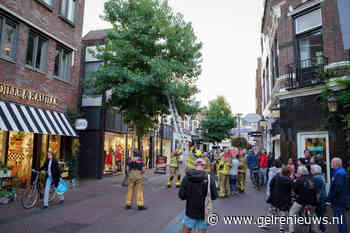 Brandweer redt kat in de boom