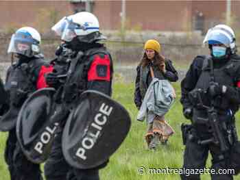 Montreal to preserve Boisé Steinberg