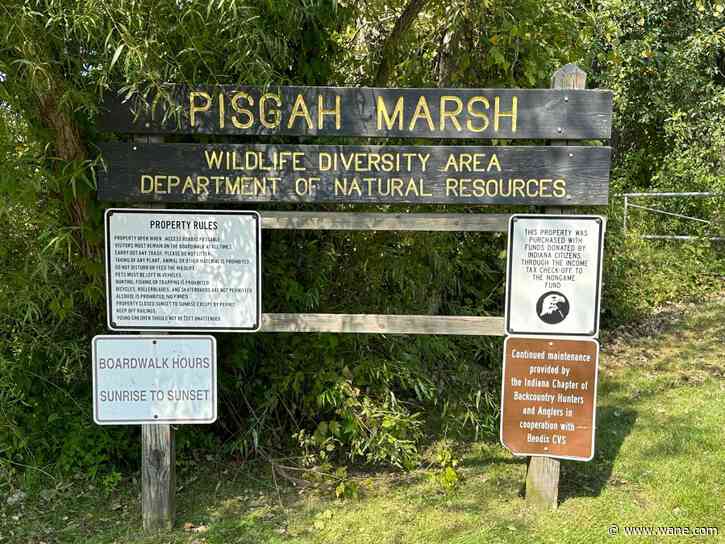 Residents concerned over proposed bottled water plant near northeast Indiana marsh