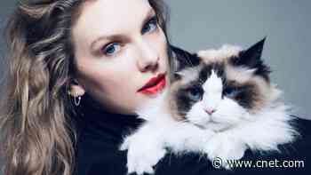 Taylor Swift's Endorsement Post Sends Rush of Fans to Voter-Registration Site