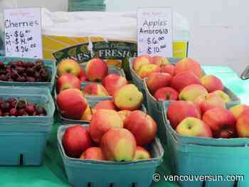 B.C. to provide 'bridge financing' for tree-fruit growers after sudden co-op closure