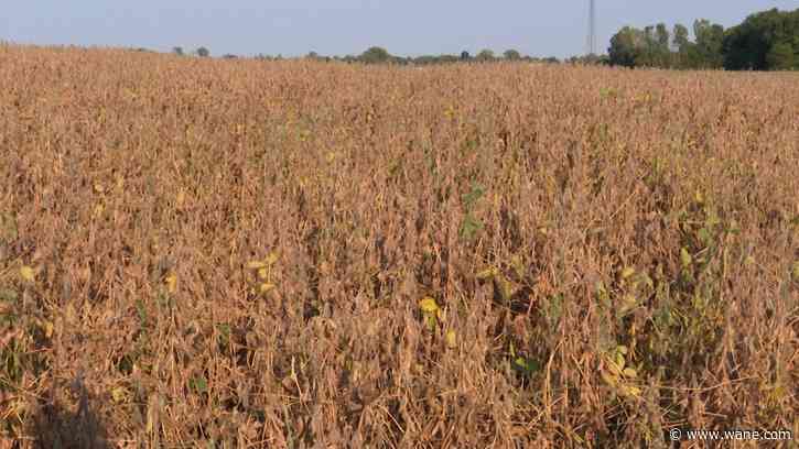 Drought expands and intensifies across NE Indiana and NW Ohio