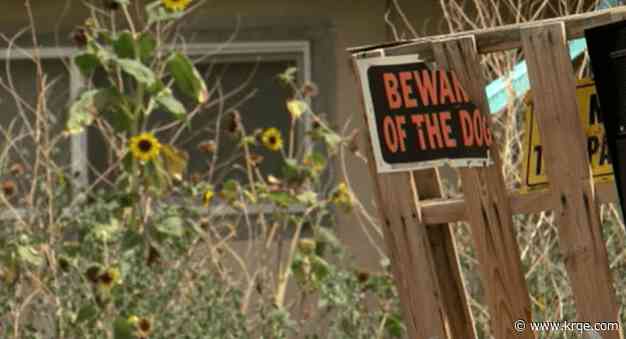 Dog attack leaves Albuquerque neighborhood on edge