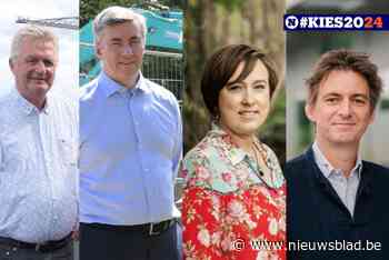 VERKIEZINGEN 2024. Welke beloftes werden (niet) gerealiseerd in Temse? En hoe scoort het gemeentebestuur?