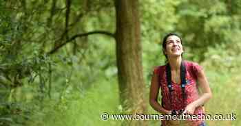 Free Dorset Bird Festival at nature reserve to take place this month