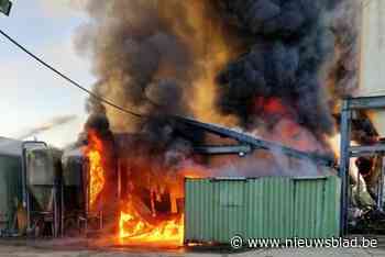 Uitslaande brand in stal van boerderij in Kalmthout, brandweer vraagt omwonenden ramen en deuren gesloten te houden