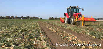 Veel uien al in het zwad, volgende week topdrukte