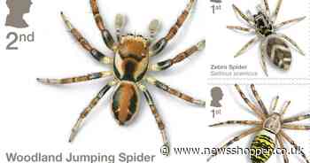 Royal Mail launches new stamp collection celebrating spiders in the UK