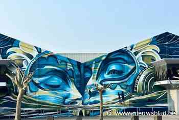 Eventzaal Putte opgefleurd door ‘mural’: “Wie langs de N15 passeert, kan het goed zien”