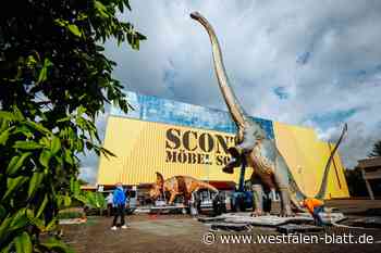 Hurra, die ersten Dinos sind da!