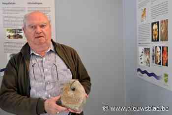 Dubbeltentoonstelling als miniversie van Erfgoedmuseum opent dit weekend in vroegere bibliotheek