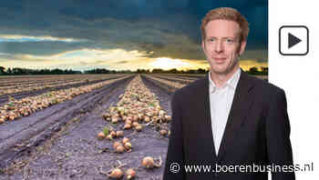 Lucht boven de uienmarkt begint open te breken